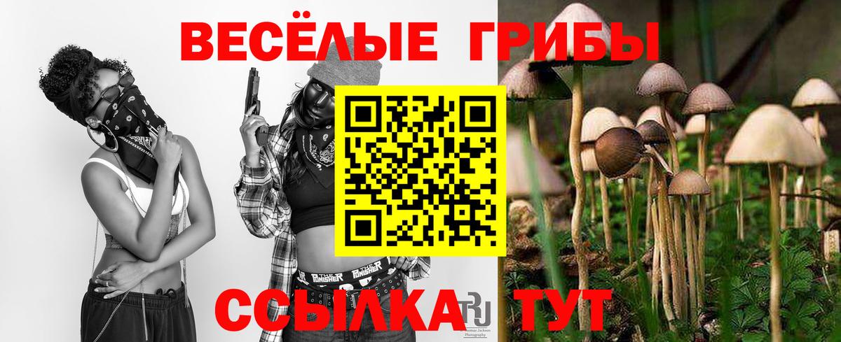 Галлюциногенные грибы мухоморы Печора