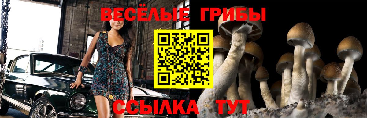 Псилоцибиновые грибы прущие грибы  Вход с VPN  Печора 